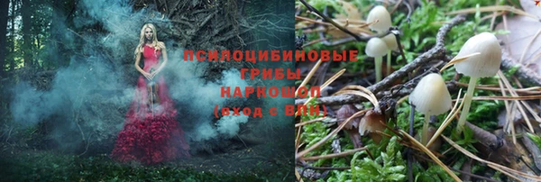 спиды Абинск